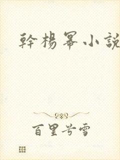 干杨幂小说