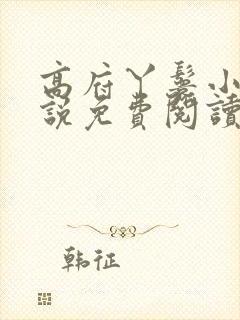 高府丫鬟小说小说免费阅读无弹窗