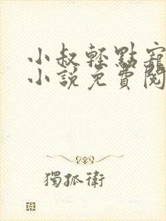 小叔轻点宠原著小说免费阅读封面