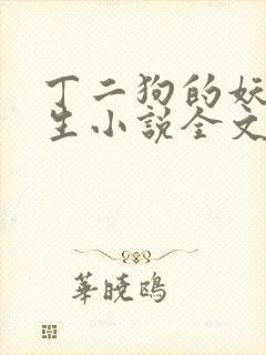 丁二狗的妖孽人生小说全文阅读