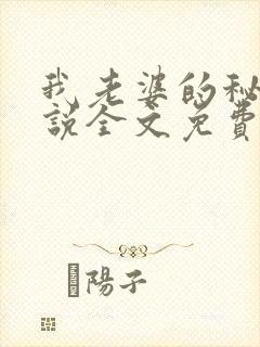 我老婆的秘密小说全文免费阅读