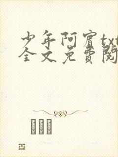 少年阿宾txt全文免费阅读小说