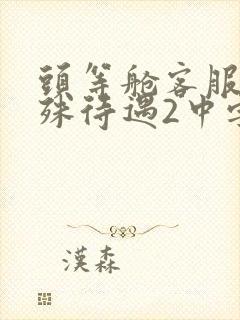 头等舱客服的特殊待遇2中字