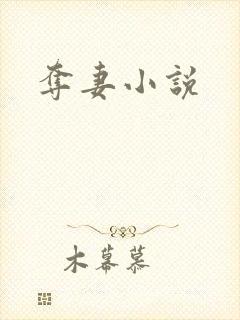 夺妻小说