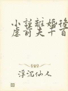 小说离婚后,我虐前夫千百遍在线阅读封面