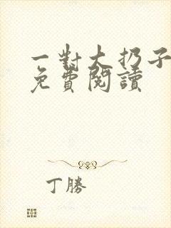 一对大扔子小说免费阅读