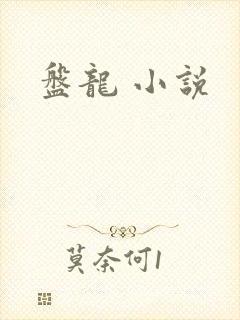 盘龙 小说