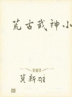 荒古武神小说