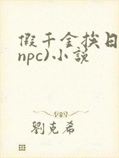假千金挨日记(npc)小说
