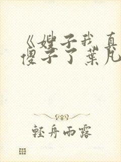《嫂子我真不是傻子了叶凡》封面