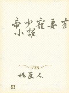 帝少宠妻有点甜 小说