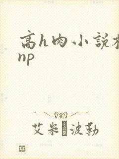 高h肉小说校园np封面