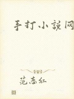 手打小说网