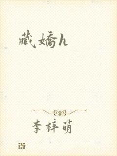 藏娇h