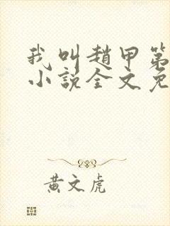 我叫赵甲第原著小说全文免费阅读封面