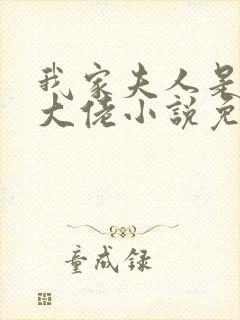 我家夫人是隐藏大佬小说免费阅读