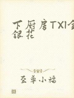下厨房TXl金银花