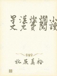 星汉灿烂小说全文免费阅读封面