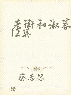 老卫和淑蓉7—12集