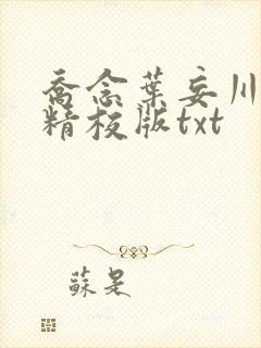 乔念叶妄川完整精校版txt