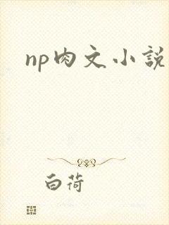 np肉文小说