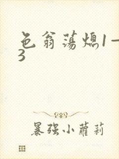 色翁荡熄1—13封面