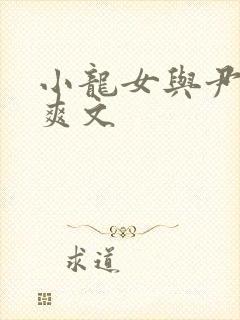 小龙女与尹志平爽文封面