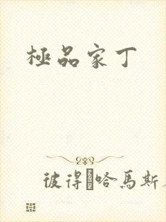极品家丁