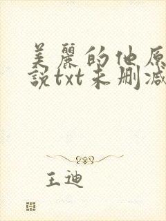 美丽的他原著小说txt未删减