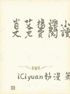 肖艾杨烁小说全文免费阅读笔趣阁