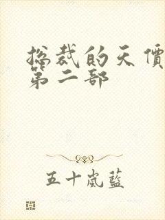 总裁的天价前妻第二部封面