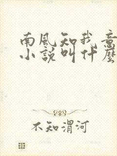 南风知我意原著小说叫什么封面