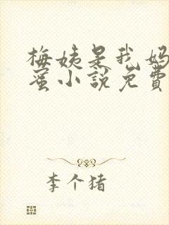 梅姨是我妈妈闺蜜小说免费阅读最新封面