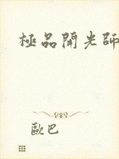 极品开光师