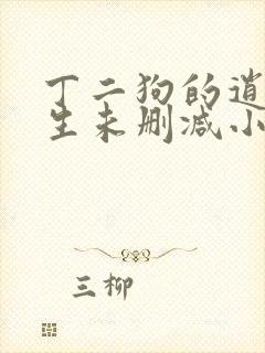 丁二狗的逍遥人生未删减小说