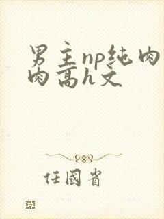 男主np纯肉巨肉高h文