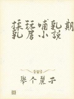 揉玩哺乳期肥硕乳房小说封面
