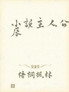 小说主人公叫方辰