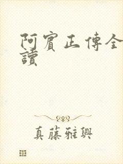 阿宾正传全文阅读封面