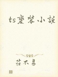 ts变装小说封面