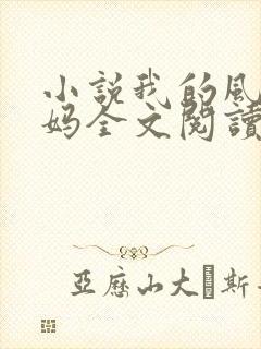 小说我的风流妈妈全文阅读
