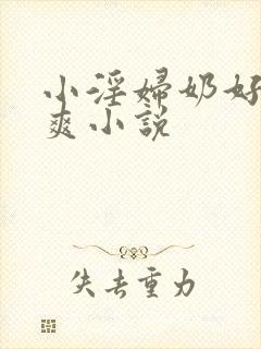 小淫妇奶好大好爽小说