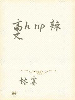 高h np 辣文封面