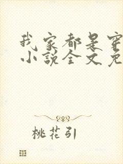 我家都是穿来的小说全文免费阅读