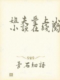 姐夫爱上小姨的小说在线阅读封面