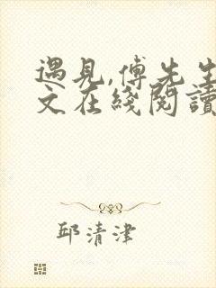 遇见,傅先生全文在线阅读