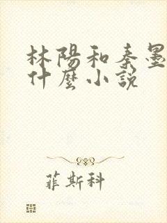 林阳和秦墨浓是什么小说封面