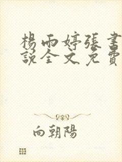 杨雨婷张书记小说全文免费封面