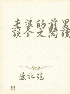 老婆的前男友小说全文阅读