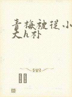 青梅被从小摸到大h补封面